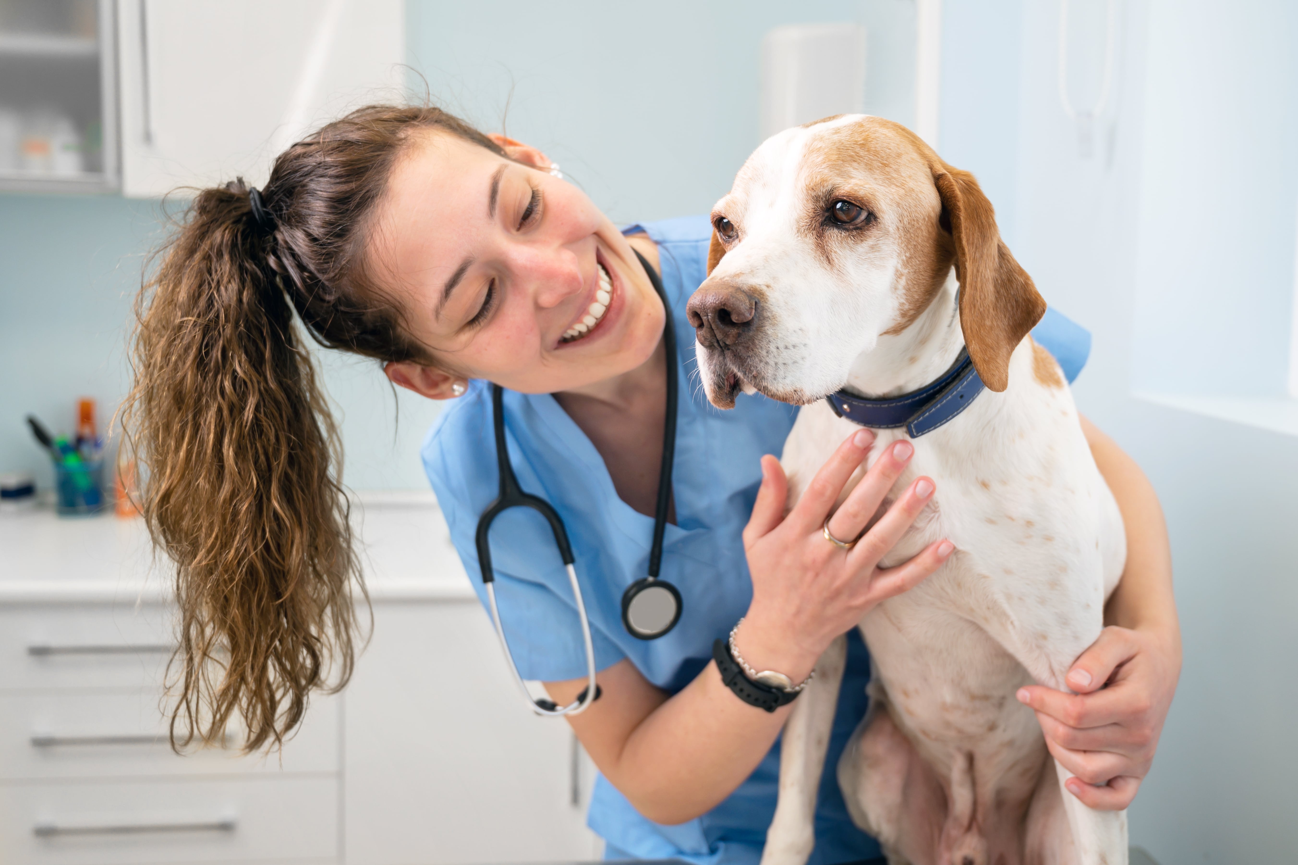 dog at the vet for a visit-min