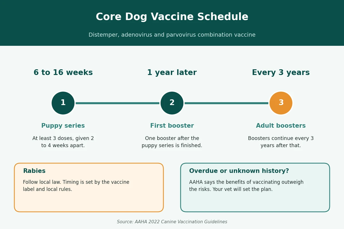 Core dog vaccine schedule Timeline infographic of the core dog vaccine schedule: puppy series from 6 to 16 weeks, a booster at one year, then boosters every 3 years