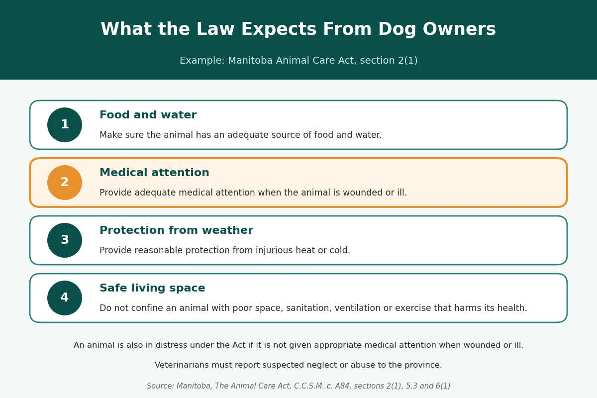 Dog owner duties under animal welfare law Infographic listing owner duties under the Manitoba Animal Care Act, including adequate food and water, medical attention, protection from weather, and a safe living space