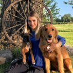 How Can Pet Owners Prepare for Emergencies?
