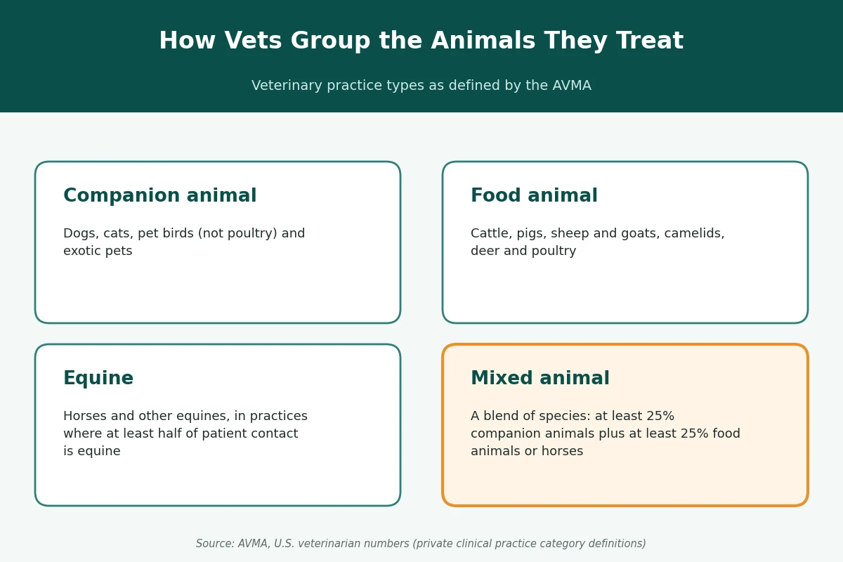 How vets group the animals they treat Infographic showing how vets group the animals they treat: companion animal, food animal, equine, and mixed animal practices