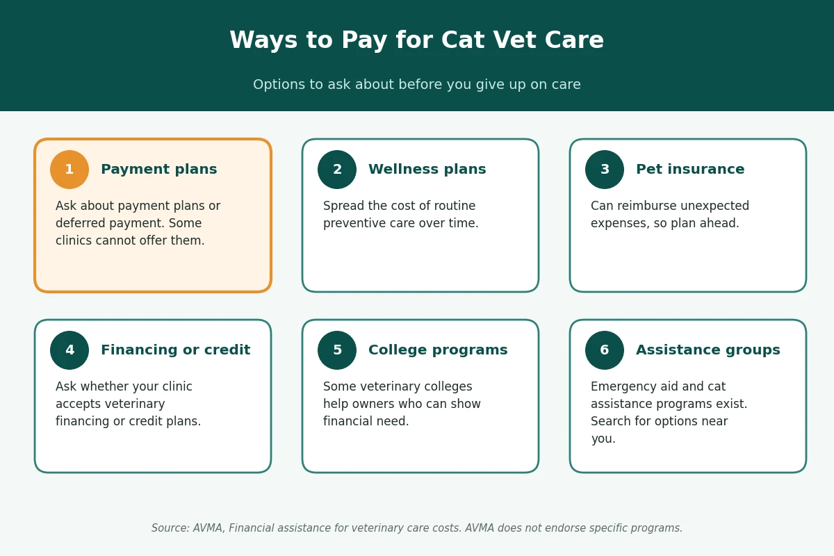 Ways to pay for cat vet care Infographic of six ways to pay for cat vet care: payment plans, wellness plans, pet insurance, financing, college programs, and assistance groups